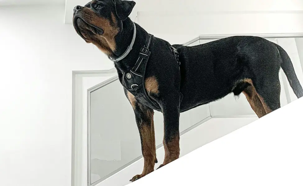 Be careful of slippery steps