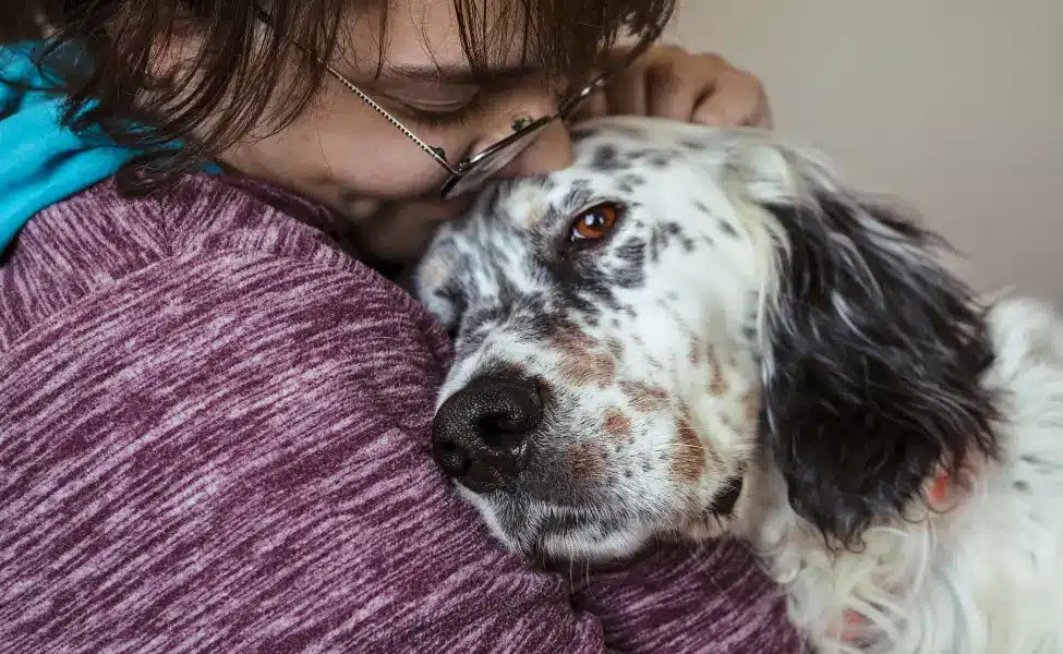 Helping a Senior Dog Feel Safe in a New Home