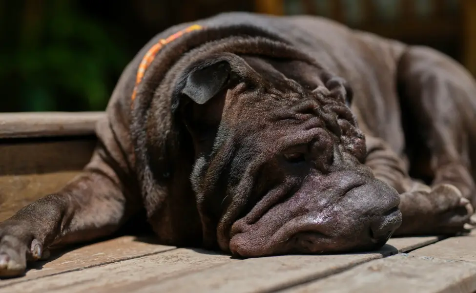 Sleep should not be excessive