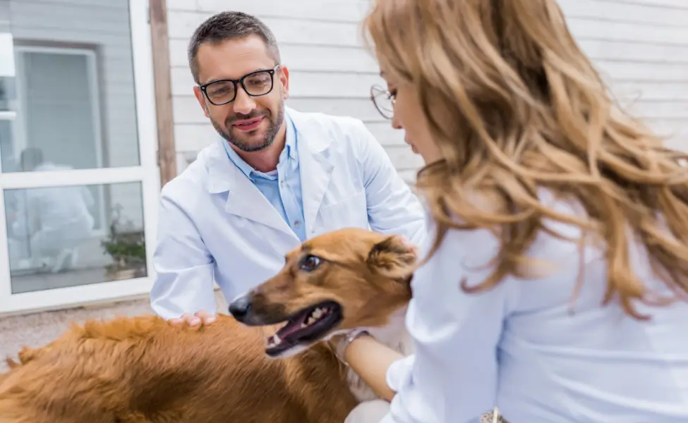 Talking With Your Vet